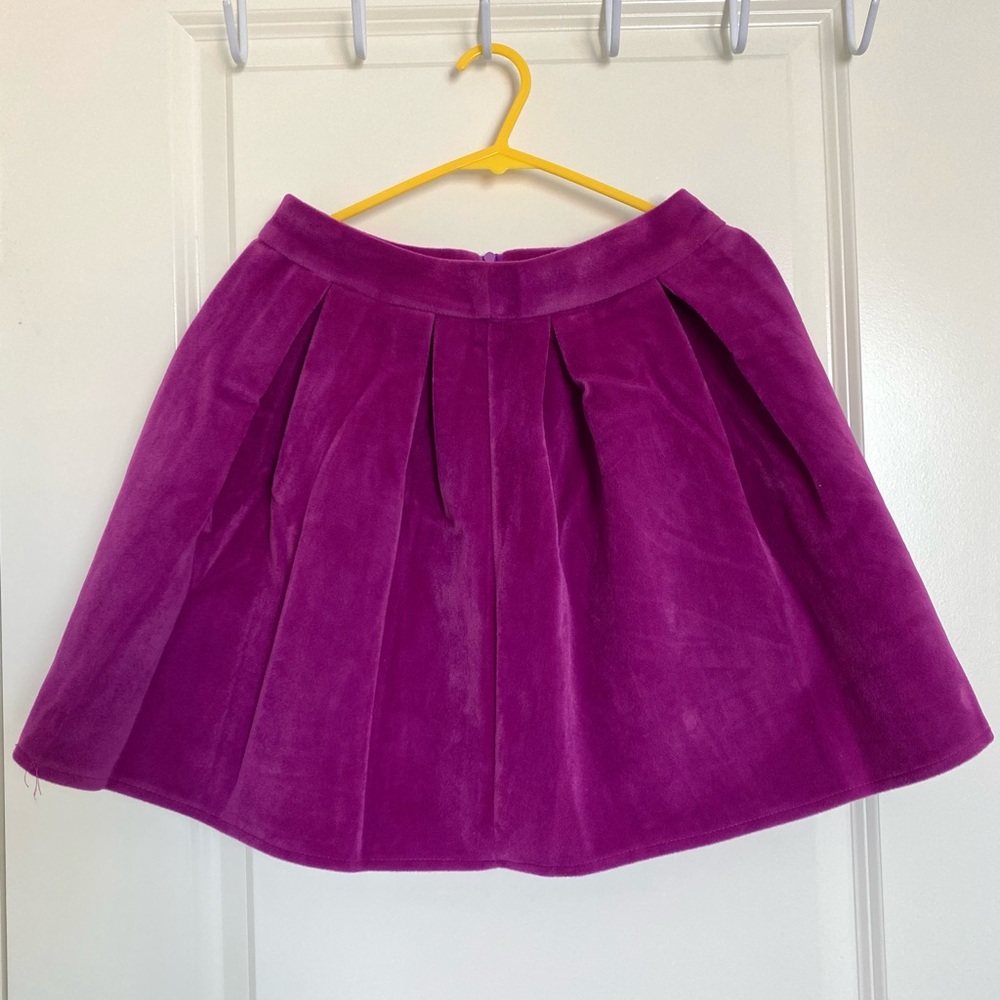 Velvet Skirt